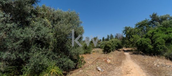 2055m² Land in Loule, Portugal No. 37655 21