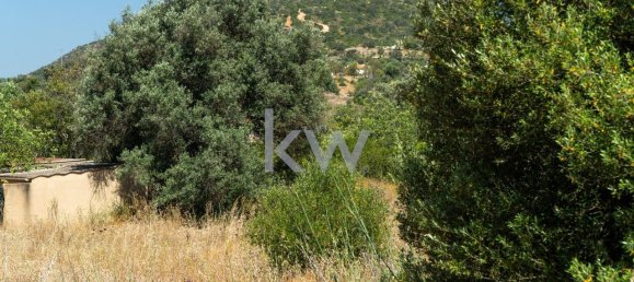 2055m² Land in Loule, Portugal No. 37655 9