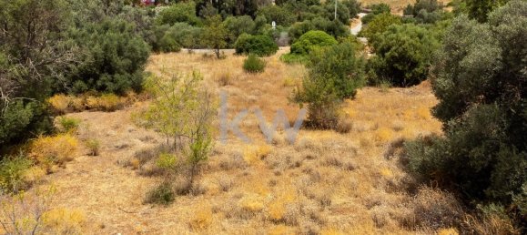 2055m² Land in Loule, Portugal No. 37655 6