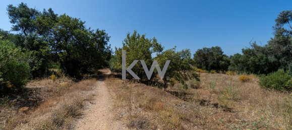 2055m² Land in Loule, Portugal No. 37655 19
