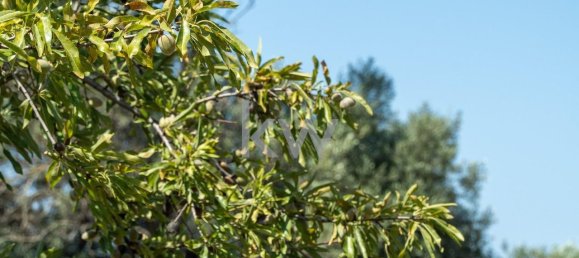 2055m² Land in Loule, Portugal No. 37655 10