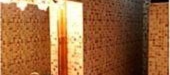 5 bedrooms House in Berja, Spain No. 31065 8