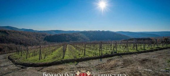 4 bedrooms Villa in Gaiole in Chianti, Italy No. 148816 14