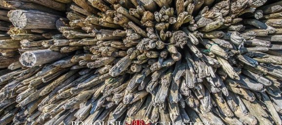 4 bedrooms Villa in Gaiole in Chianti, Italy No. 148816 18