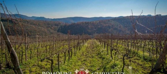 4 bedrooms Villa in Gaiole in Chianti, Italy No. 148816 10