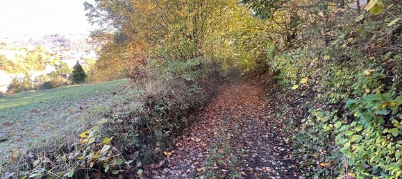 Земельный участок 16815м² в Эммерсдорф ан дер Донау, Австрия № 114870 7