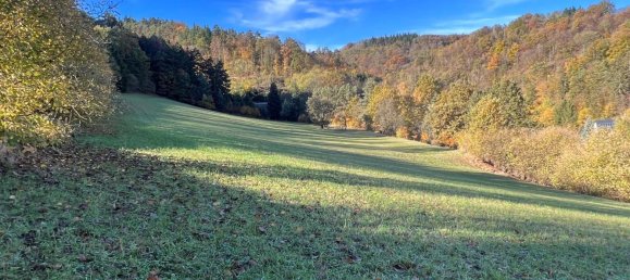 Земельный участок 16815м² в Эммерсдорф ан дер Донау, Австрия № 114870 9