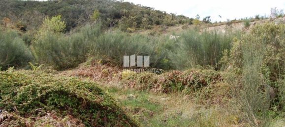 1700m² Land in Marco de Canaveses, Portugal No. 59387 4