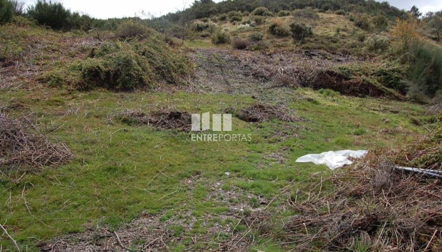 1700m² Land in Marco de Canaveses, Portugal No. 59387
