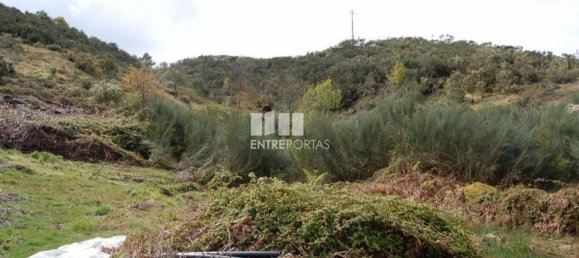 1700m² Land in Marco de Canaveses, Portugal No. 59387 7
