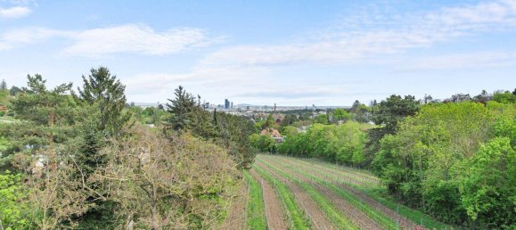 4-salle Penthouse à Dobling, Austria No. 196605 10