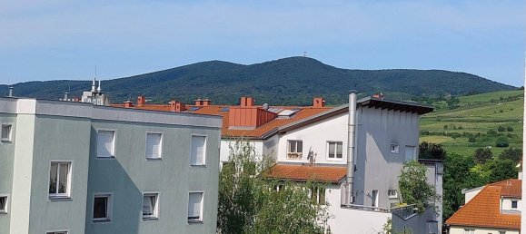 3 rooms Apartment in Guntramsdorf, Austria No. 166531 3