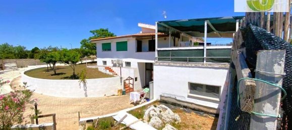 Вилла с 6 спальнями в Алессано, Италия № 150732 22