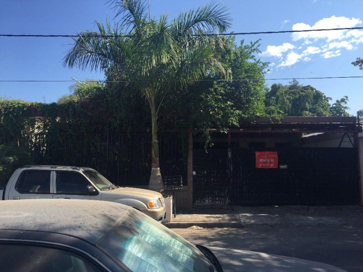 Studio in Sinaloa, Mexico No. 181510