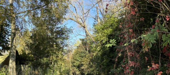 4 bedrooms House in Wavrechain-sous-Faulx, France No. 155523 23