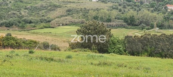 5 chambres Maison à Rio Maior, Portugal No. 150837 20