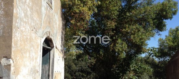 5 chambres Maison à Rio Maior, Portugal No. 150837 17