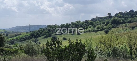 5 chambres Maison à Rio Maior, Portugal No. 150837 22