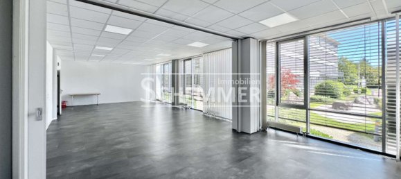 Bâtiment à Freiburg im Breisgau, Germany 5956m² No. 223269 7