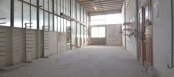 1400m² Warehouse in Cesena, Italy No. 149713 29