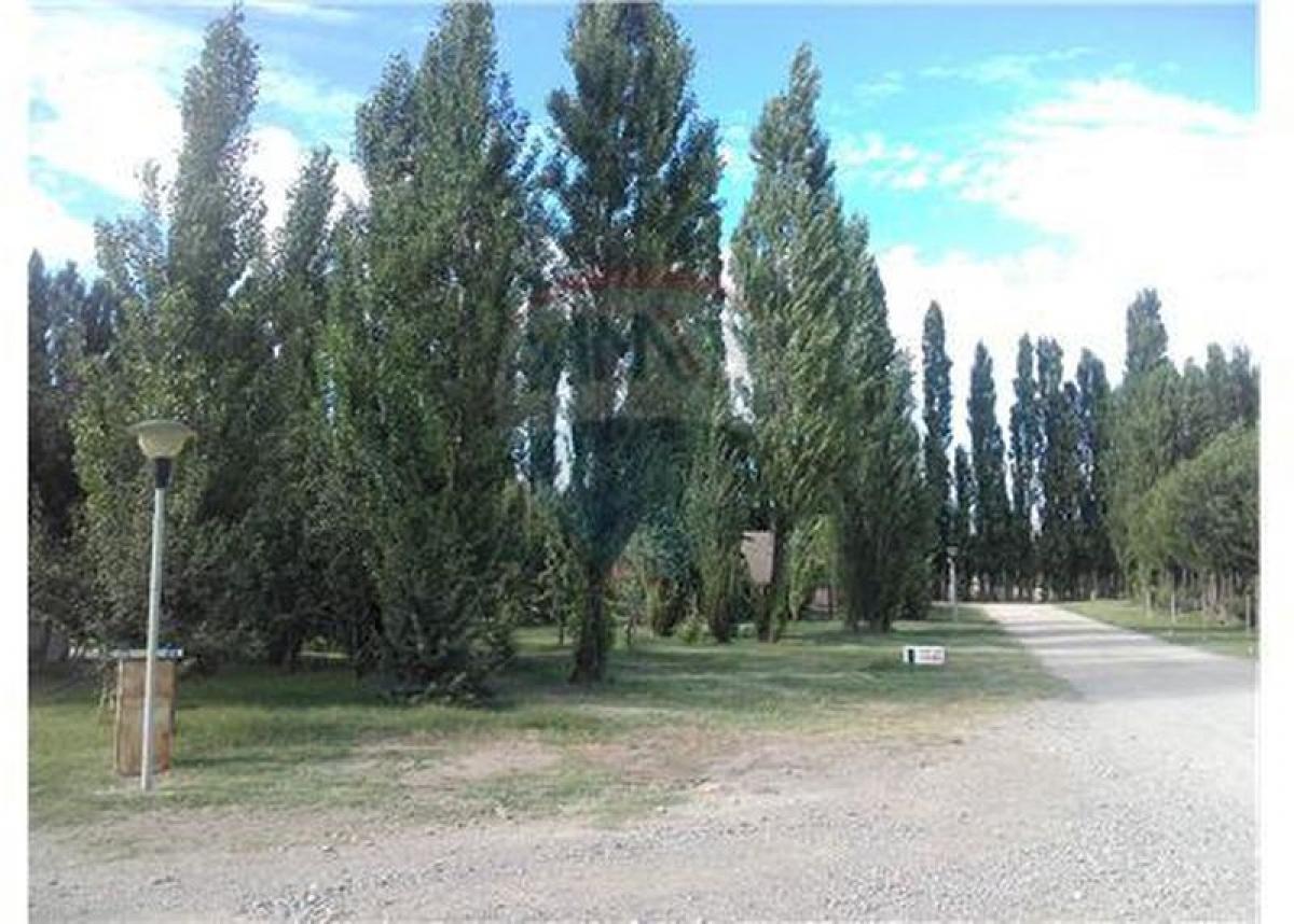 Terrain à Neuquen, Argentina No. 40381