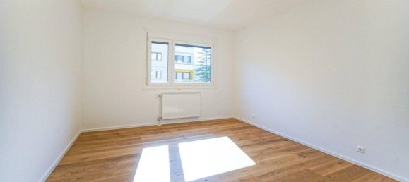 2 bedrooms Apartment in Niklasdorf, Austria No. 154940 16