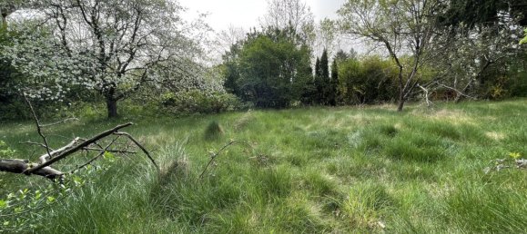 177m² Land in Liebenau, Austria No. 131671 7