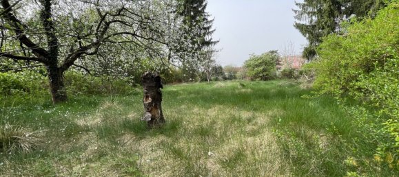 177m² Land in Liebenau, Austria No. 131671 2