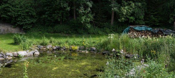 11 rooms Apartment in Leobendorf, Austria No. 153272 36