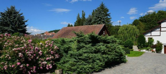 11 rooms Apartment in Leobendorf, Austria No. 153272 39