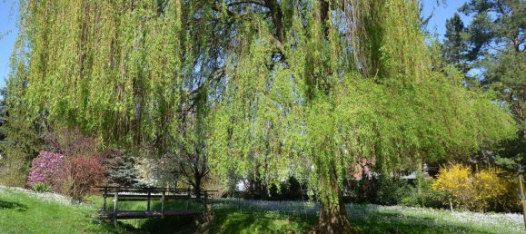 11 rooms Apartment in Leobendorf, Austria No. 153272 40