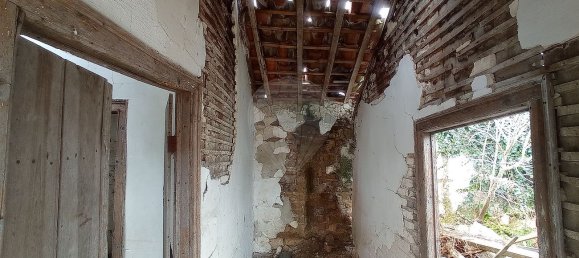 2 bedrooms House in Ferreira a Nova, Portugal No. 32402 14