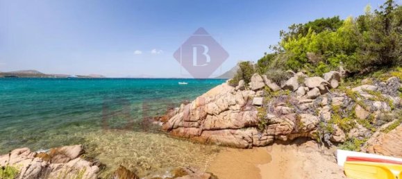 4 bedrooms Villa in San Teodoro, Italy No. 326954 8