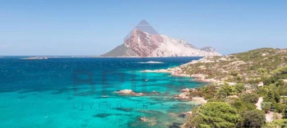 4 bedrooms Villa in San Teodoro, Italy No. 326954 7