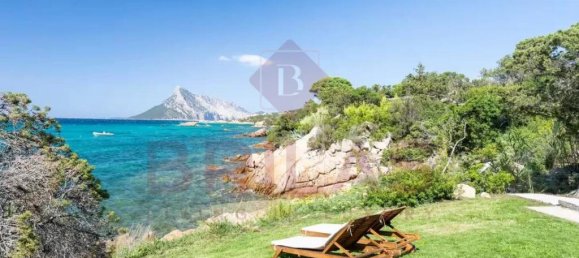 4 bedrooms Villa in San Teodoro, Italy No. 326954 3