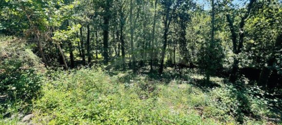 3154m² Land in Caminha, Portugal No. 57584 20