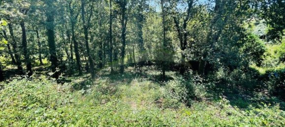 3154m² Land in Caminha, Portugal No. 57584 16