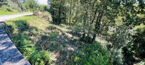 3154m² Land in Caminha, Portugal No. 57584 25