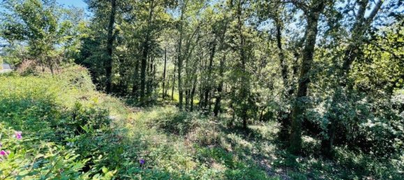 3154m² Land in Caminha, Portugal No. 57584 18