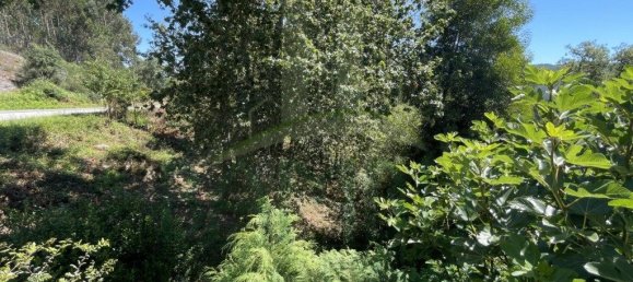 3154m² Land in Caminha, Portugal No. 57584 8