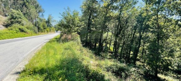 3154m² Land in Caminha, Portugal No. 57584 6