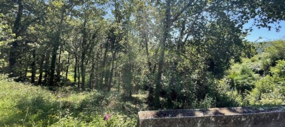 3154m² Land in Caminha, Portugal No. 57584 14