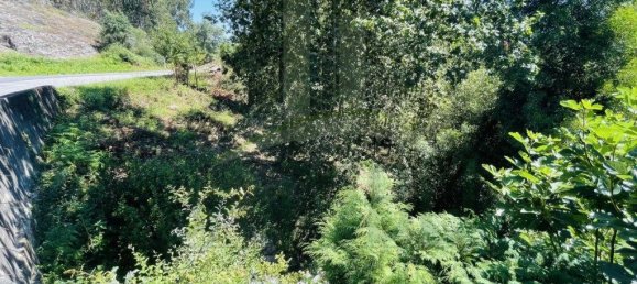 3154m² Land in Caminha, Portugal No. 57584 26