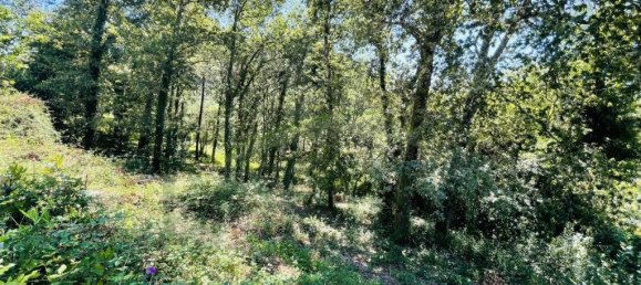 3154m² Land in Caminha, Portugal No. 57584 19