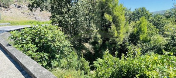 3154m² Land in Caminha, Portugal No. 57584 5