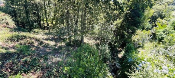 3154m² Land in Caminha, Portugal No. 57584 22