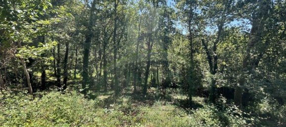 3154m² Land in Caminha, Portugal No. 57584 15