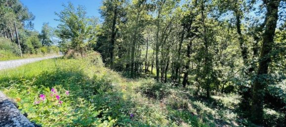 3154m² Land in Caminha, Portugal No. 57584 2