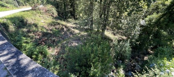 3154m² Land in Caminha, Portugal No. 57584 13