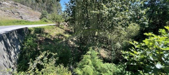 3154m² Land in Caminha, Portugal No. 57584 10